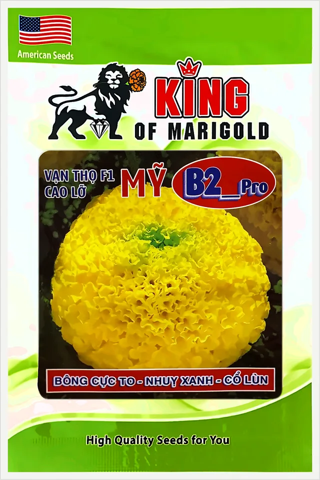 Bao bì Vạn Thọ Mỹ F1 Cao Lỡ Vàng Chanh Nhụy Xanh B2Pro