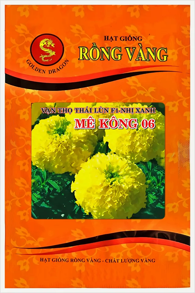 Bao bì Vạn Thọ Thái Lùn F1 Vàng Chanh Nhụy Xanh Mekong 06