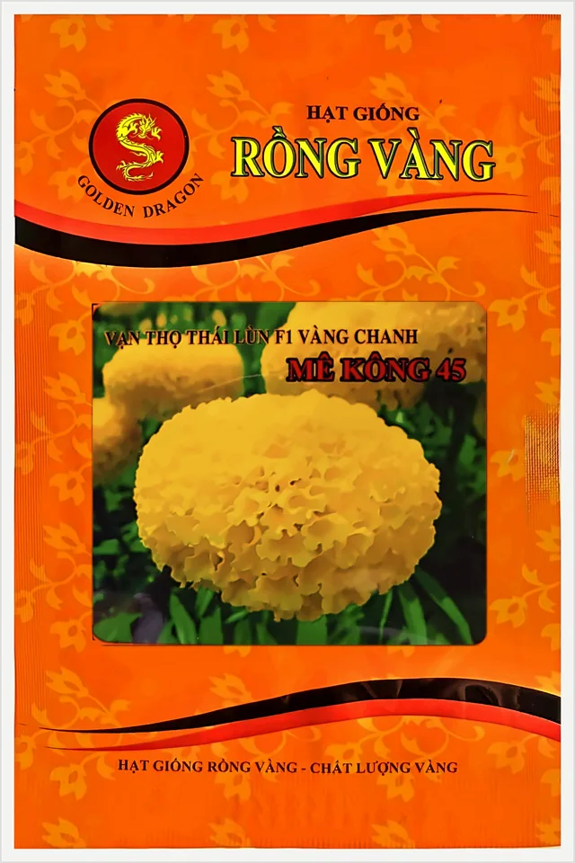 Bao bì Vạn Thọ Thái Lùn F1 Vàng Chanh Mekong 45