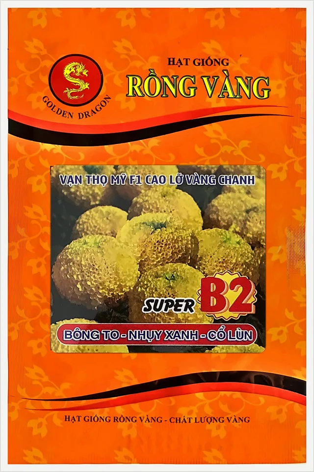 Bao bì Vạn Thọ Mỹ F1 Cao Lỡ Vàng Chanh Nhụy Xanh Super B2
