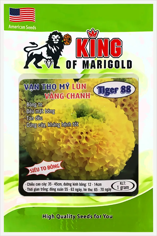 Bao bì Vạn Thọ Mỹ Lùn Vàng Chanh Tiger 88